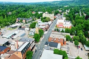Commercial Pest Control Services in Dundas