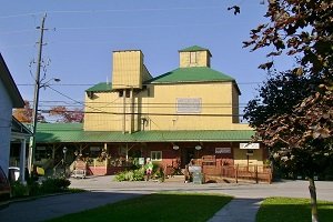 Commercial Pest Control Services in schomberg