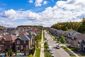 Commercial-Pest-Control-Services-in-woodbridge