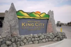 Commercial Pest Control Services in King-City