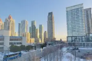 Commercial Pest Control Services in Mississauga