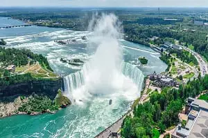 Commercial Pest Control Services in Niagara-Falls