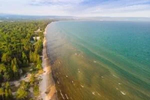 Commercial Pest Control Services in wasaga-beach